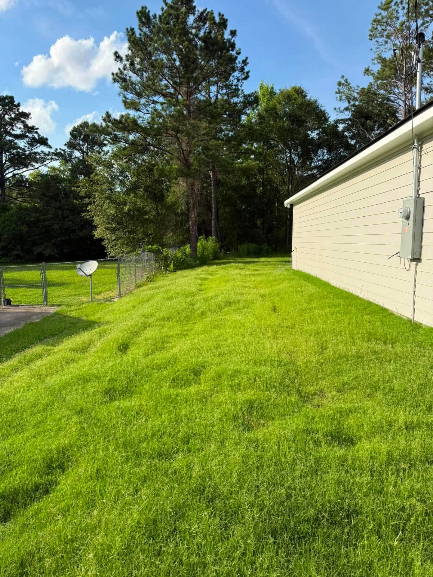Driveway & Lawn Detail